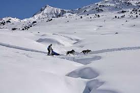 Convocatoria para los Campeonatos Navarro de Trineos Nieve 2012